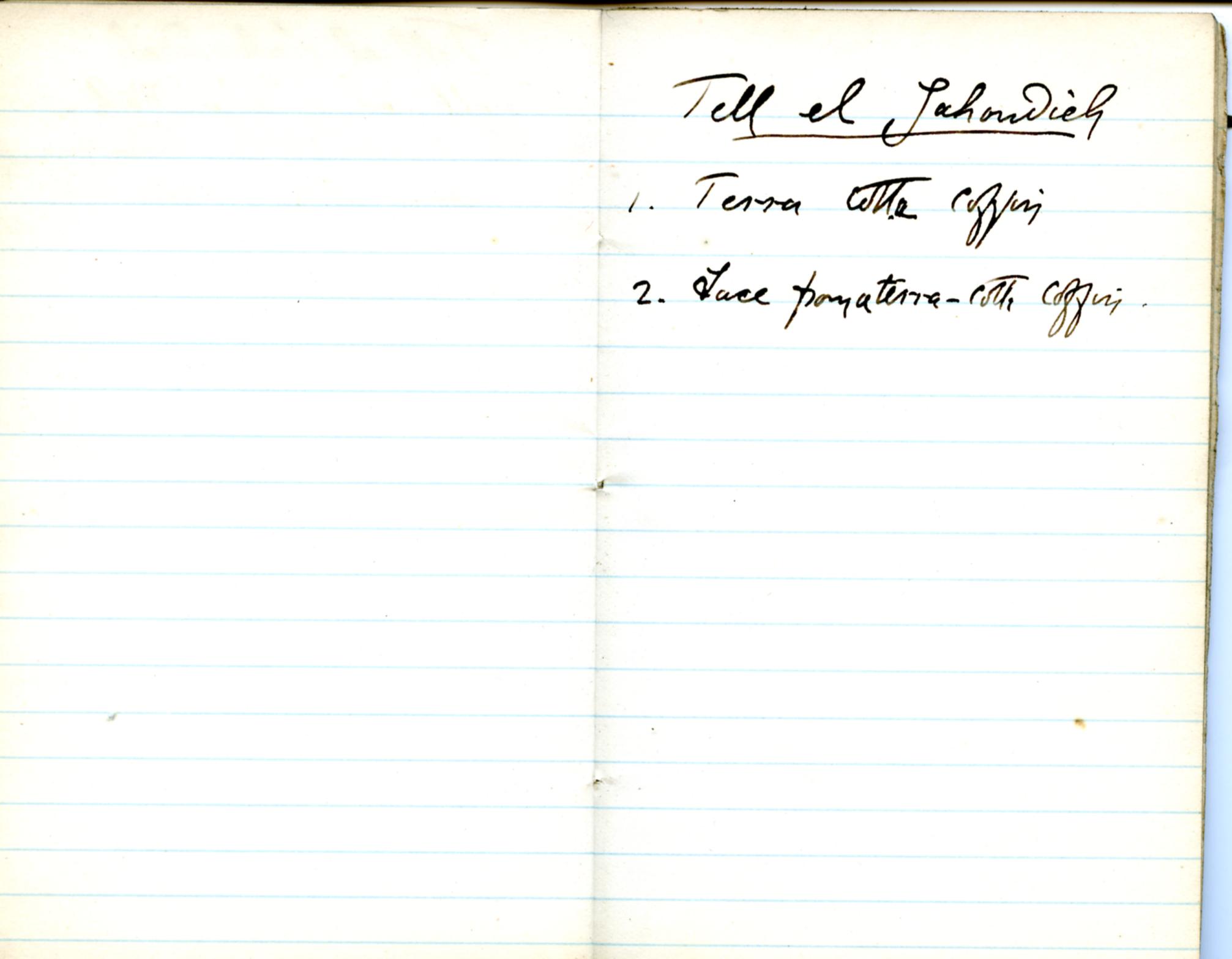 1884-85 Naukratis, Tanis, Bubastis, Tell el-Yahudiya, Nebesheh, Tell Dafana, Tell Sueilin, Tell el-Maskuta DIST.10.01o