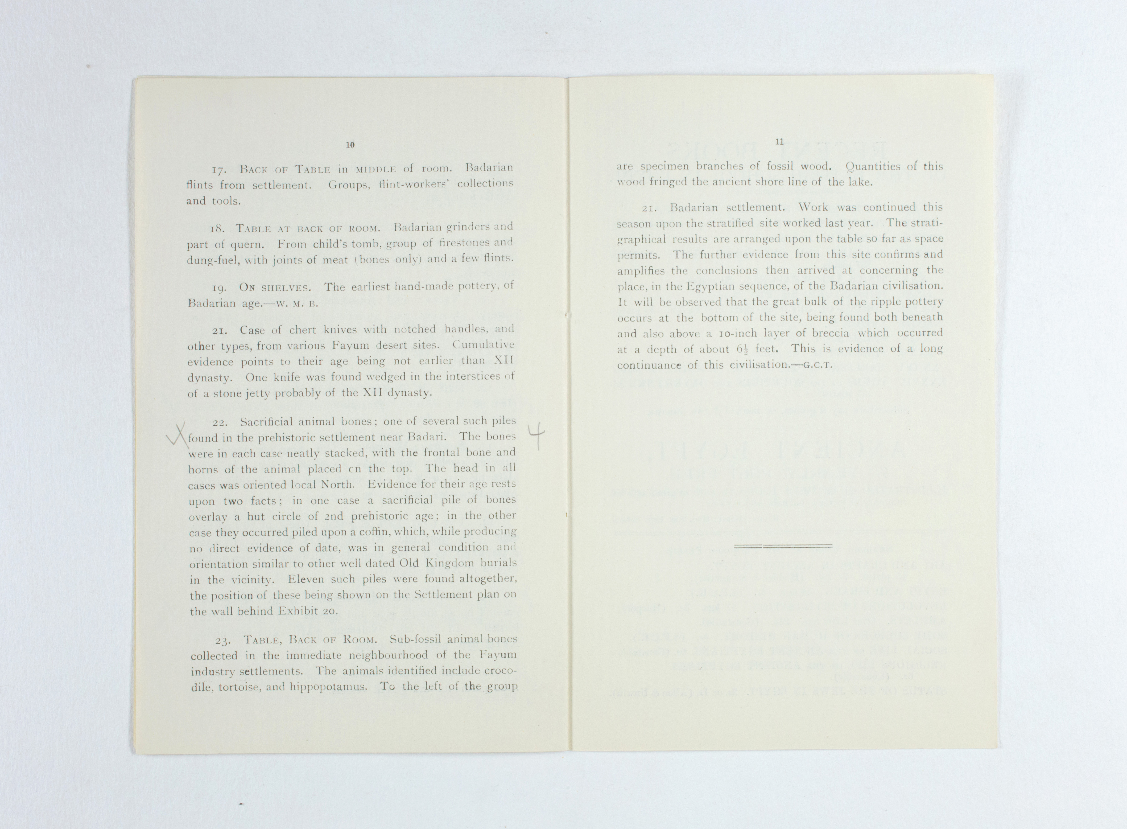 1924-25 Badari, Faiyum Exhibition catalogue PMA/WFP1/D/28/26.7