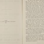 1910-11 Hawara, Gerzeh, Memphis, Mazghuneh Exhibition catalogue PMA/WFP1/D/19/34.3