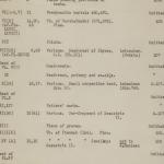 1913-14 Lahun, Haraga Object list PMA/WFP1/D/22/72.1