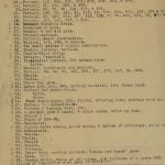 1913-14 Lahun, Haraga Object list PMA/WFP1/D/22/73