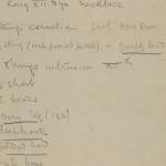 1913-14 Lahun, Haraga Object list PMA/WFP1/D/22/77.1