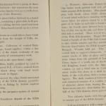 1919-21 Sedment, Lahun Exhibition catalogue PMA/WFP1/D/24/46.4