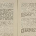 1919-21 Sedment, Lahun Exhibition catalogue PMA/WFP1/D/24/46.6