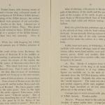1919-21 Sedment, Lahun Exhibition catalogue PMA/WFP1/D/24/46.7