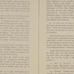 1919-21 Sedment, Lahun Exhibition catalogue PMA/WFP1/D/24/48.5
