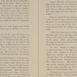 1919-21 Sedment, Lahun Exhibition catalogue PMA/WFP1/D/24/48.6