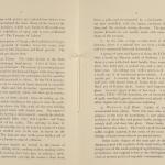 1919-21 Sedment, Lahun Exhibition catalogue PMA/WFP1/D/24/48.8