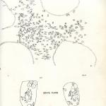 Gerzeh map.jpg