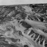The Baqaria 6.jpg