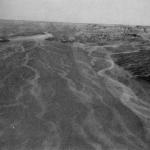 The Bucheum 5.jpg