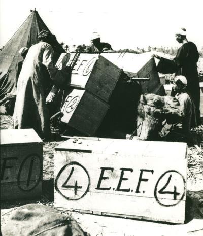 Photograph of crates of excavated finds from EEF digs.