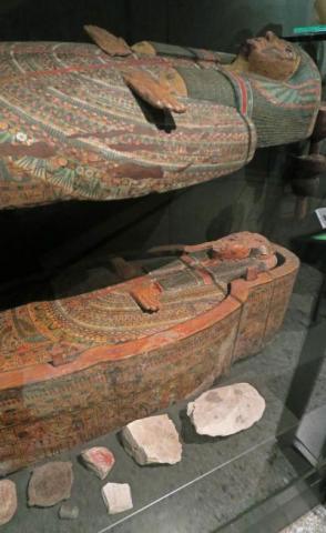 Ostracon from EES work at Amarna on display in Bristol Museum. Photograph by Alix Robinson