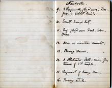 1884-85 Naukratis, Tanis, Bubastis, Tell el-Yahudiya, Nebesheh, Tell Dafana, Tell Sueilin, Tell el-Maskuta DIST.10.01b