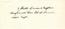 1921-22 Tell el-Amarna DIST.39.26b