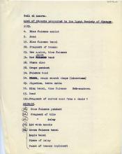 1921-25 el-Amarna DIST,46.03a