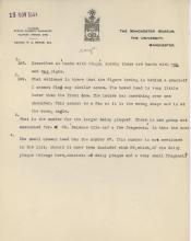 1934-35 el-Amarna DIST.58.54b